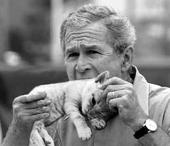 Name:  bush eating a kitten.jpg
Views: 18
Size:  5.2 KB